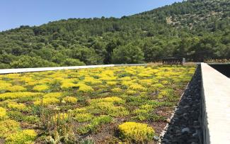 Cubierta verde con Sedum