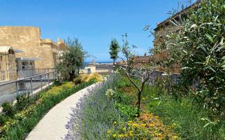 Cubierta jardín con un camino, flores y hierbas