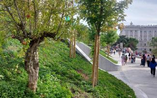 La cubierta ajardinada inclinada