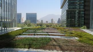 cubierta ecológica con sedum tapizante en Chile
