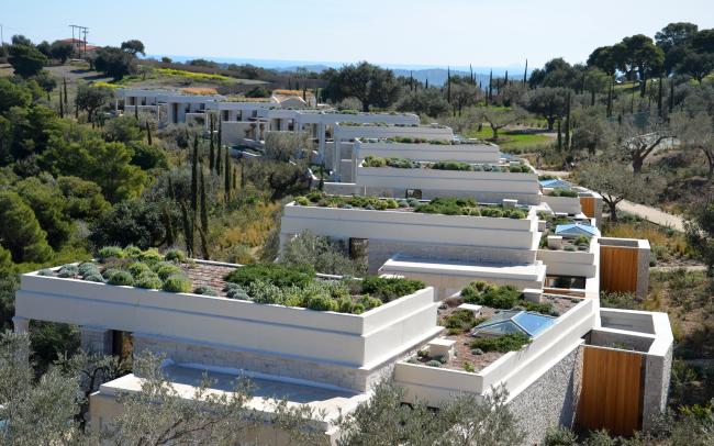 Cubierta ajardinada con lavanda y hierbas