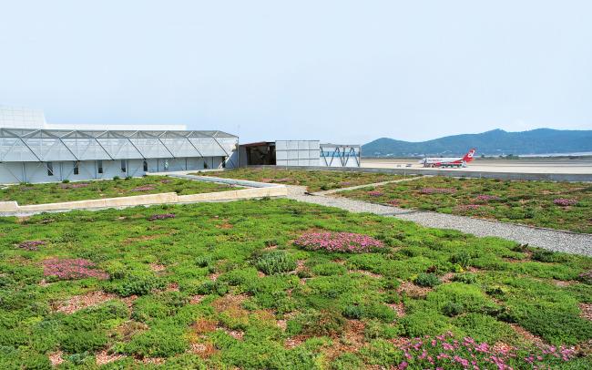 Vista parcial de la cubierta con la plantación de tipo extensiva.