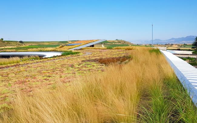 Gran cubierta ajardinada con hierbas ornamentales y Sedum