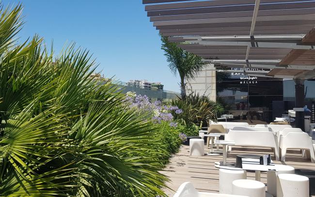 Cubierta jardín con palmeras, flores de agapanthus, mesas y sillas