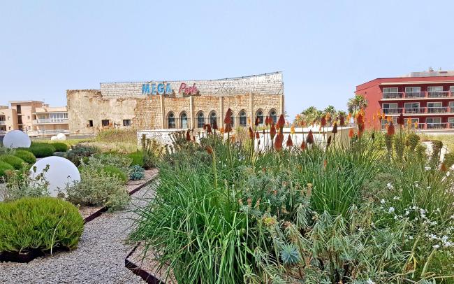 Cubierta jardín con un camino de grava y lámparas de bola