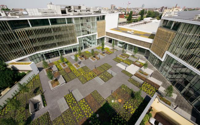 Patio con áreas plantadas y pavimentadas