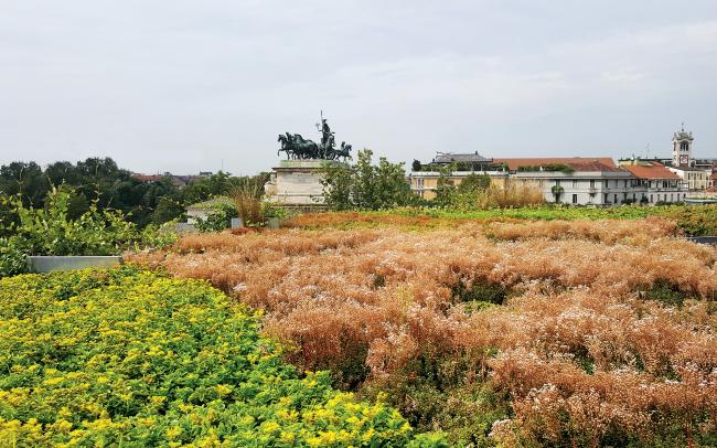 Cubierta ajardinada con Sedum