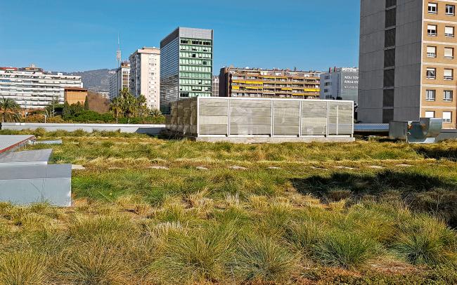 Cubierta ajardinada extensiva