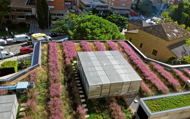 Cubierta ajardinada extensiva