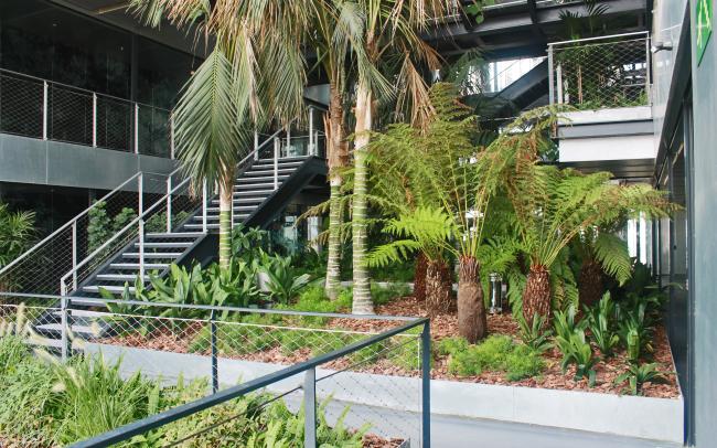 Plantación tropical en un edificio