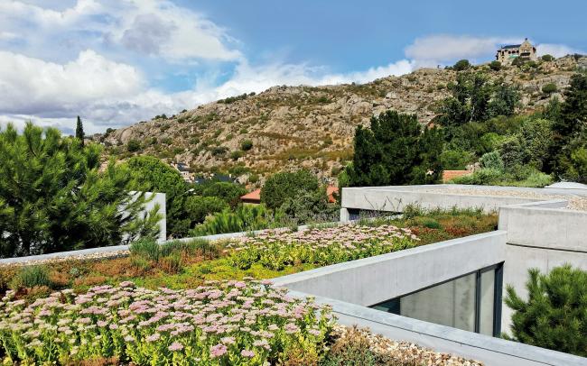 Cubierta ajardinada con flores de color rosado