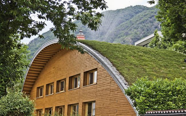 Casa de madera con la cubierta abovedada ajardinada