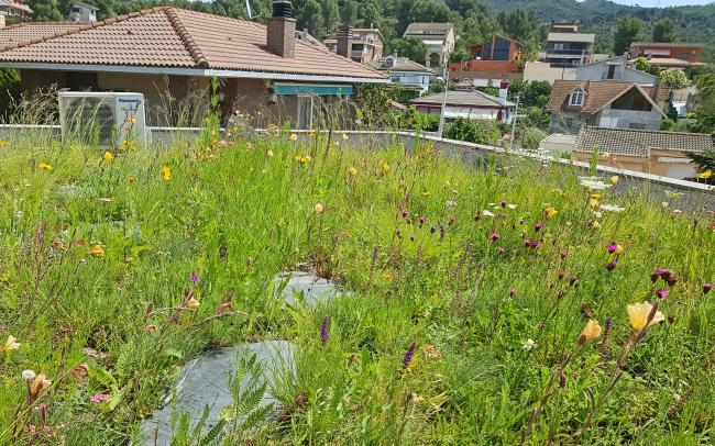 Cubierta verde con prado de flores