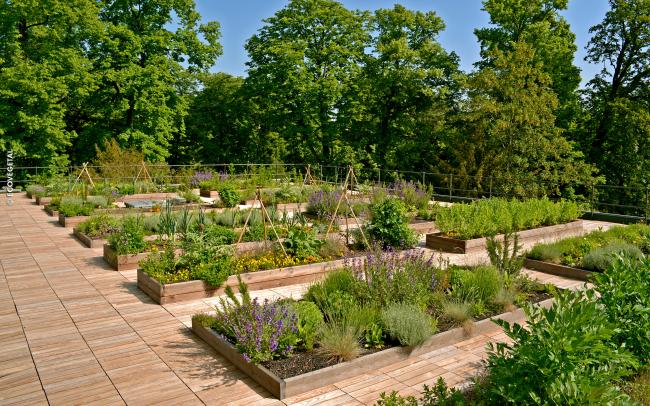 Huertos y pavimentos de madera en la cubierta
