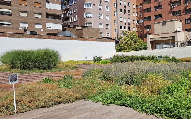 Cubierta verde enfrente de bloques de apartamentos