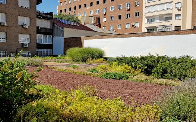 Cubierta verde enfrente de bloques de apartamentos