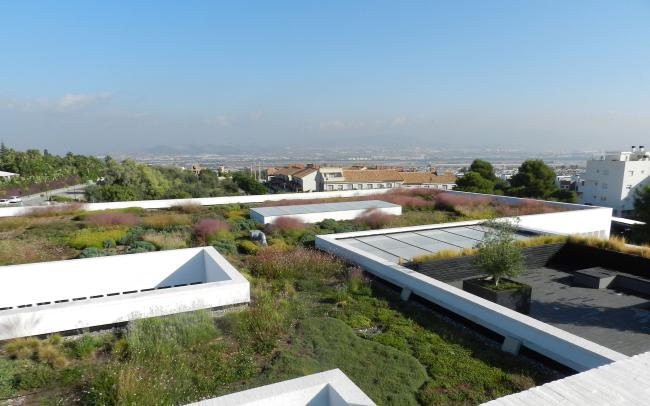 Cubierta ajardinada con plantas perennes y hierbas