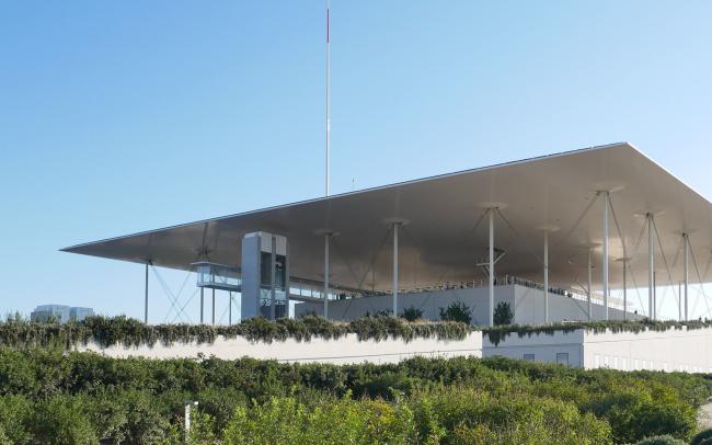 Edificio moderno con vegetación