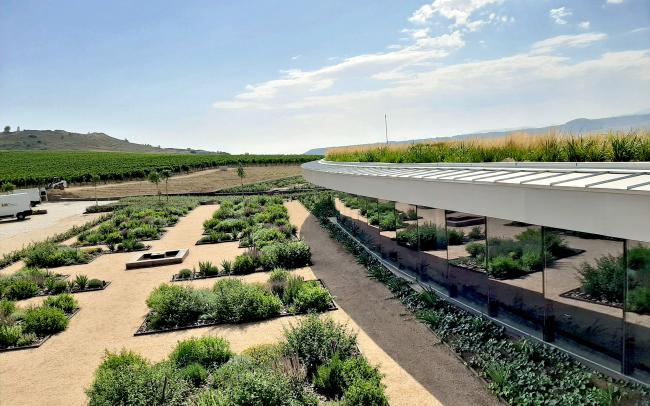 Edificion con la cubierta ajardinada extensiva