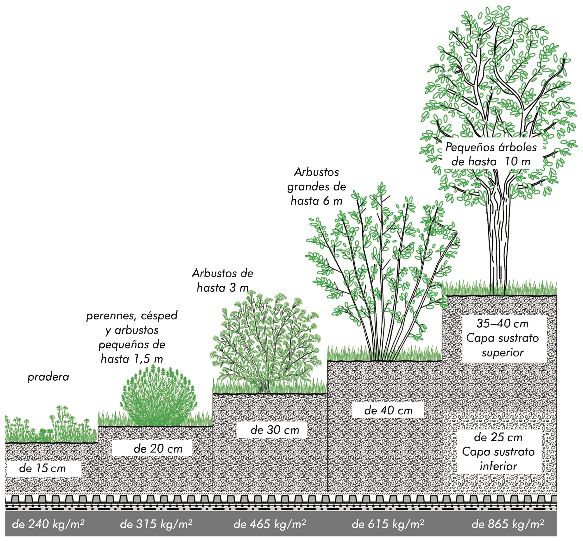 Profundidades y tipos de sustrato según vegetación